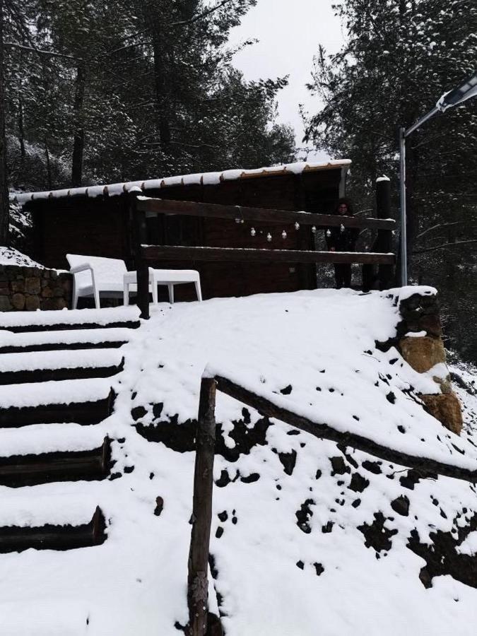 Bosco Paradiso Limisso Esterno foto