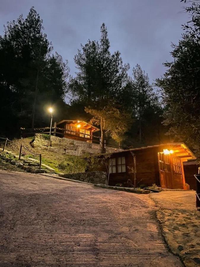 Bosco Paradiso Limisso Esterno foto