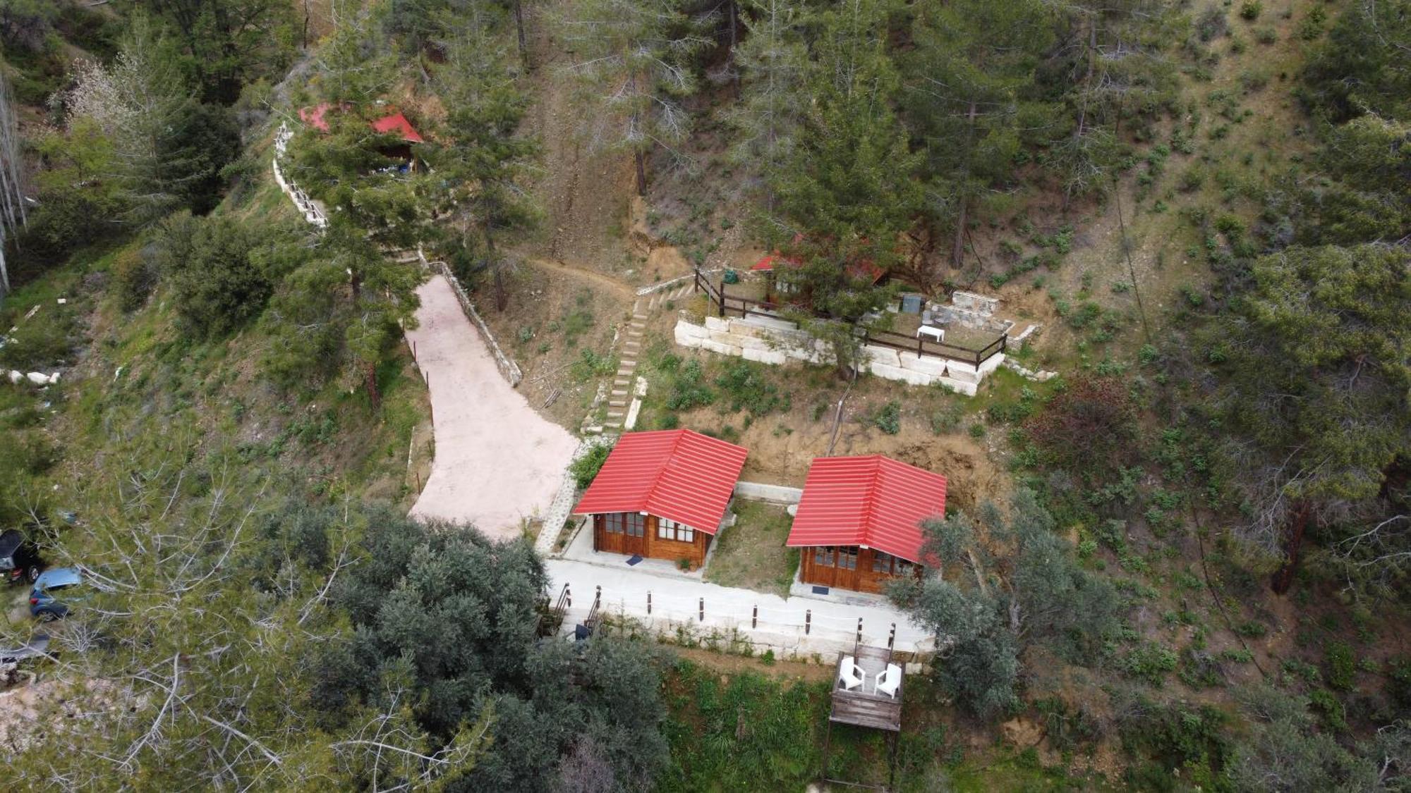 Bosco Paradiso Limisso Esterno foto